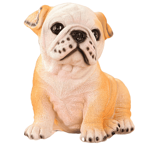 Salvadanaio Con Bulldog Francese