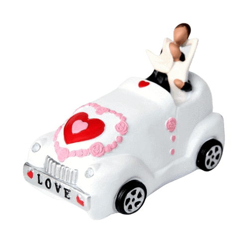 Salvadanaio Della Sposa E Dello Sposo