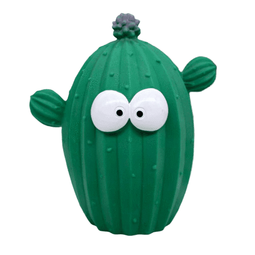 Salvadanaio Cactus