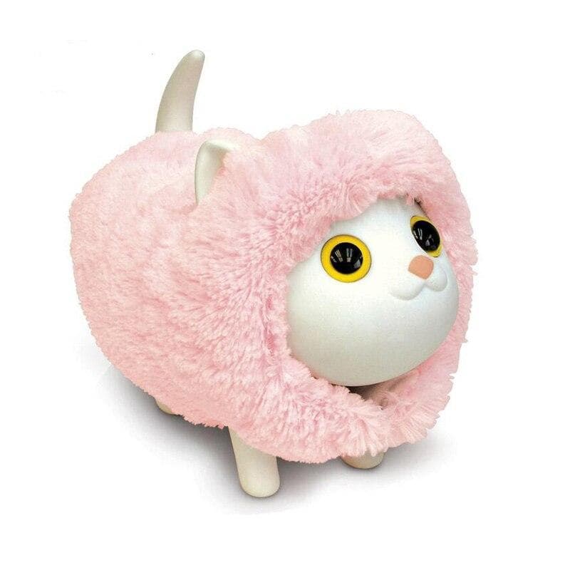 Gatto Salvadanaio Ragazza