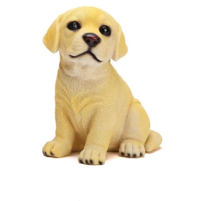 Simpatico Salvadanaio Per Cani