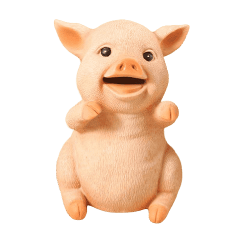 Salvadanaio Rosa