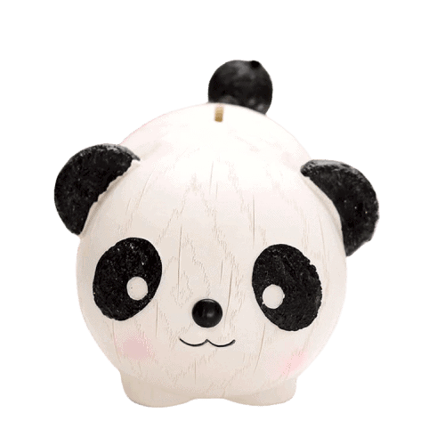 Salvadanaio In Plastica Con Panda